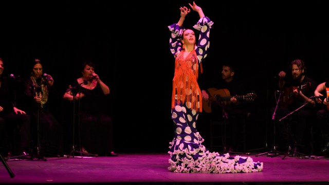 VI Concurso Internacional de Baile Flamenco Puro de Turín vi-concurso-internacional-de-baile-flamenco-puro-de-turin